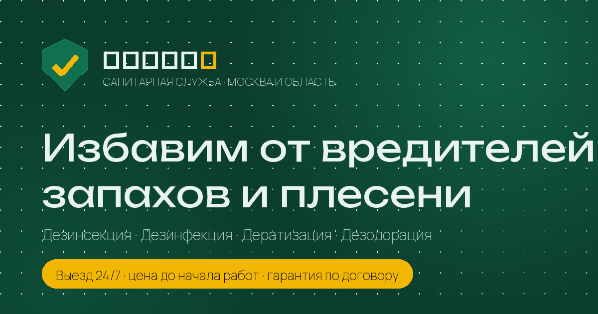 dezeko website preview